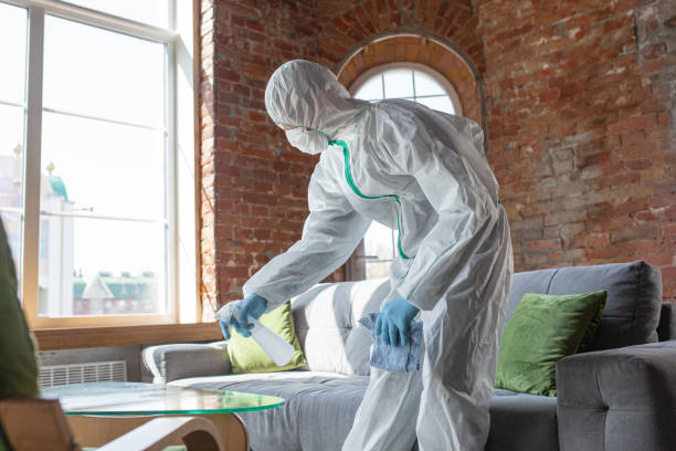  Wickerham Manor Fisher, PA Mold Removal Pros